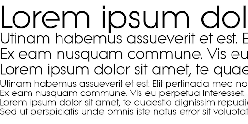 litera font