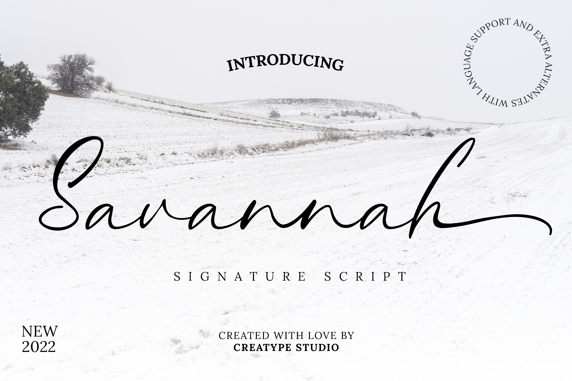 Inspirational Fonts: 12 Best Fonts for Your Impactful Quotes!