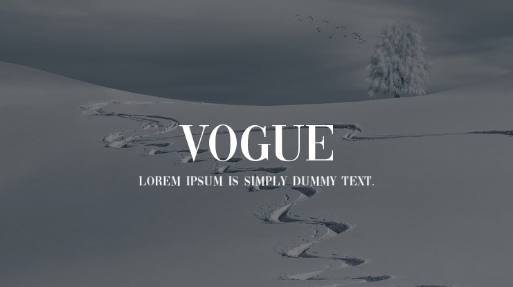 serif fonts