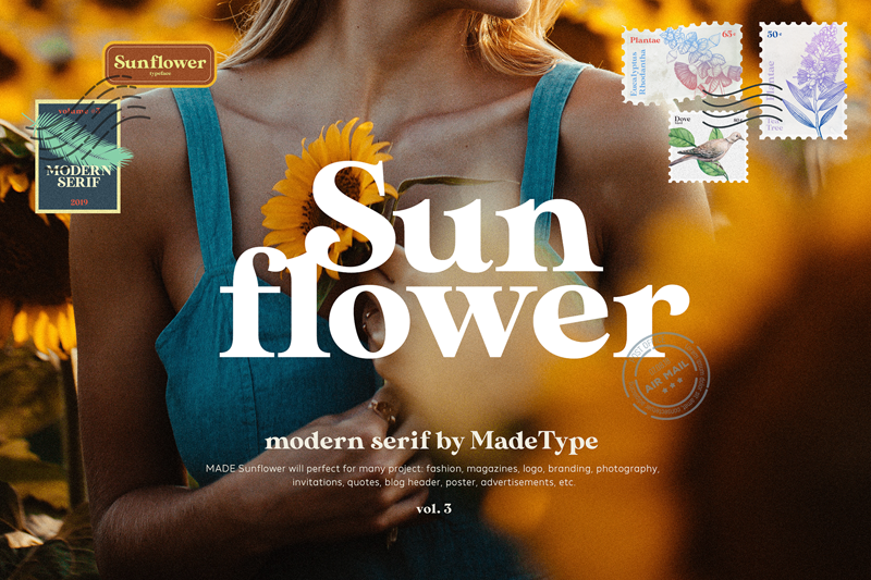 10 Most Popular Slab Serif Font Chosen by Designer