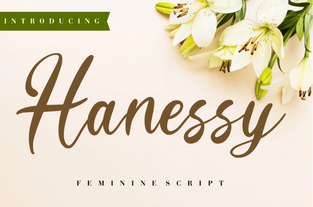 Hansssy