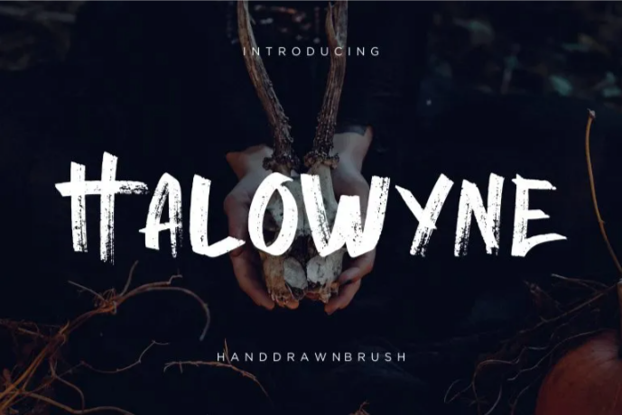 A sturdy brush font, Halowyne Font