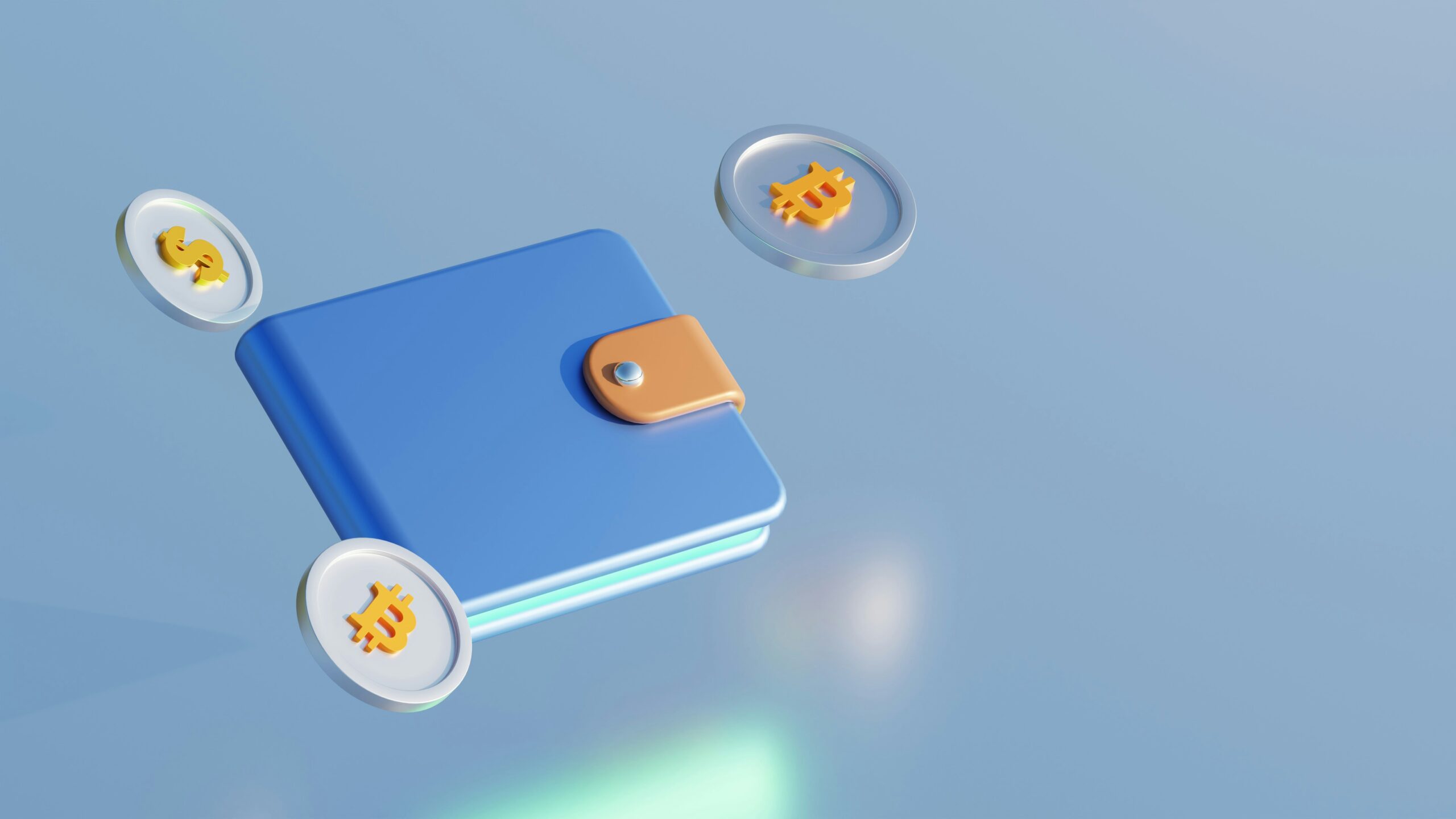 wallet address