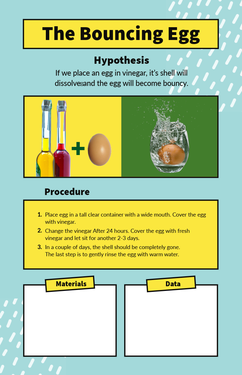 Science Fair Poster