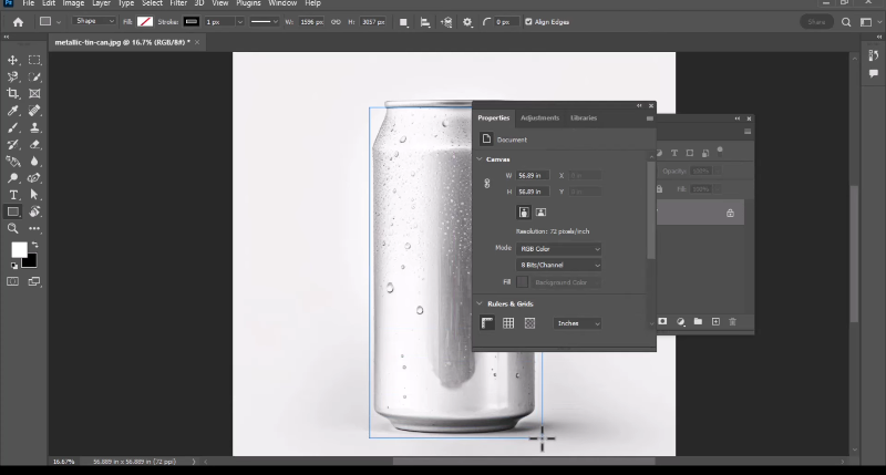 Create the Placement Area with the Rectangle Tool