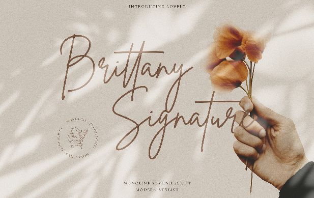 1. Brittany Font