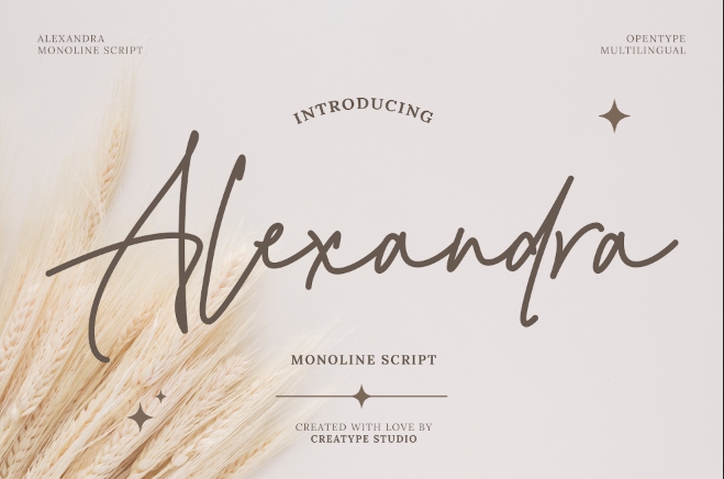 24. Alexandra Monoline Script