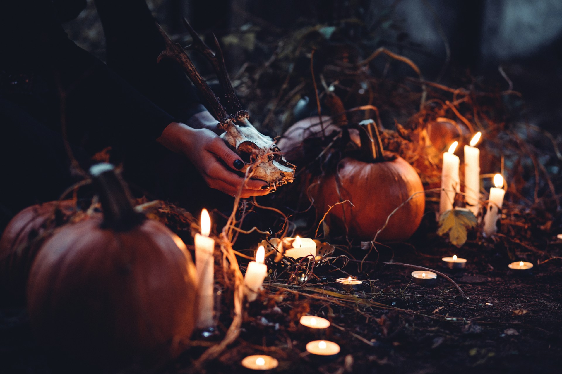 Halloween Fonts