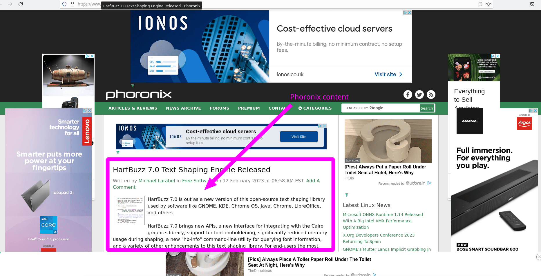 A website with too many ads